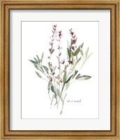 Herb Garden Sketches V Fine Art Print
