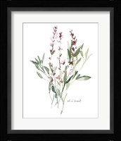 Herb Garden Sketches V Fine Art Print
