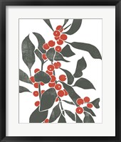 Colorblock Berry Branch IV Fine Art Print