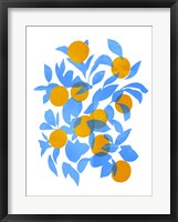 Bright Tangerines II Framed Print
