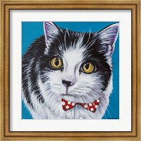 Classy Cat I Fine Art Print
