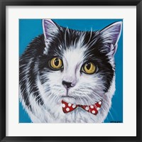 Classy Cat I Fine Art Print