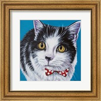 Classy Cat I Fine Art Print