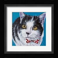 Classy Cat I Fine Art Print