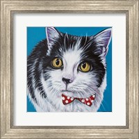 Classy Cat I Fine Art Print