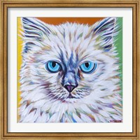 Classy Cat II Fine Art Print