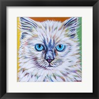 Classy Cat II Fine Art Print