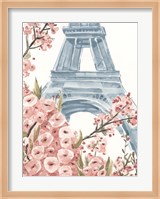 Paris Cherry Blossoms I Fine Art Print