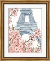 Paris Cherry Blossoms I Fine Art Print