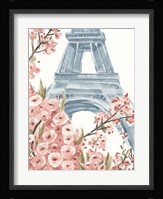Paris Cherry Blossoms I Fine Art Print
