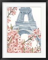 Paris Cherry Blossoms I Fine Art Print