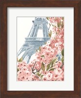 Paris Cherry Blossoms II Fine Art Print