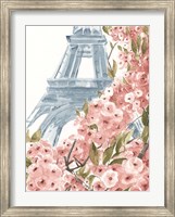 Paris Cherry Blossoms II Fine Art Print