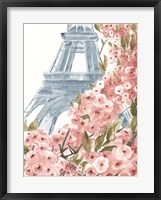 Paris Cherry Blossoms II Framed Print