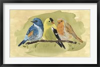 Bird Perch I Framed Print