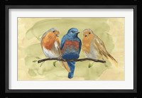 Bird Perch II Framed Print