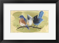 Bird Perch III Fine Art Print