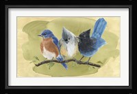 Bird Perch III Framed Print