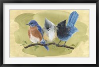 Bird Perch III Framed Print