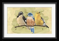 Bird Perch IV Framed Print