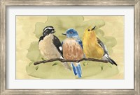 Bird Perch IV Fine Art Print