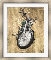 Metallic Rider II Fine Art Print