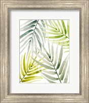 Shady Palm I Fine Art Print