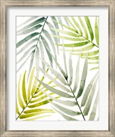 Shady Palm I Fine Art Print
