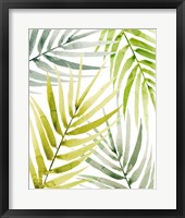 Shady Palm II Framed Print