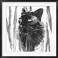 Still Cat I Fine Art Print
