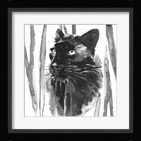 Still Cat I Fine Art Print
