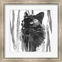 Still Cat I Fine Art Print