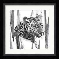 Still Cat II Framed Print