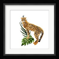 Cheetah Outlook II Framed Print