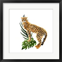 Cheetah Outlook II Framed Print