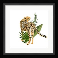 Cheetah Outlook III Framed Print