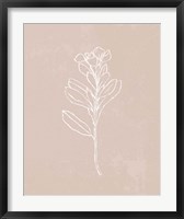 Blush Bloom I Fine Art Print