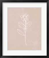 Blush Bloom I Fine Art Print