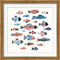 Fish School II Fine Art Print