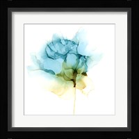 Blooming Cyan I Fine Art Print