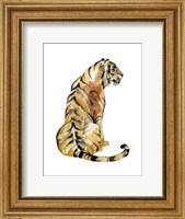 Sitting Tiger I Fine Art Print