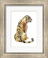 Sitting Tiger I Fine Art Print
