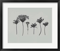 Wildflower Memory I Fine Art Print