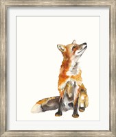 Sly Fox I Fine Art Print