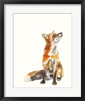 Sly Fox I Fine Art Print