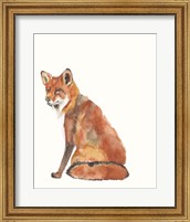 Sly Fox II Fine Art Print