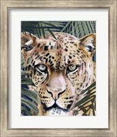 Jungle Cat II Fine Art Print