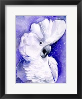 Celestial Cockatoos I Fine Art Print