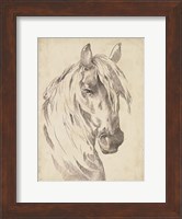 Horse Portrait Sketch I Fine Art Print