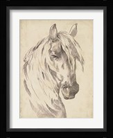Horse Portrait Sketch I Fine Art Print